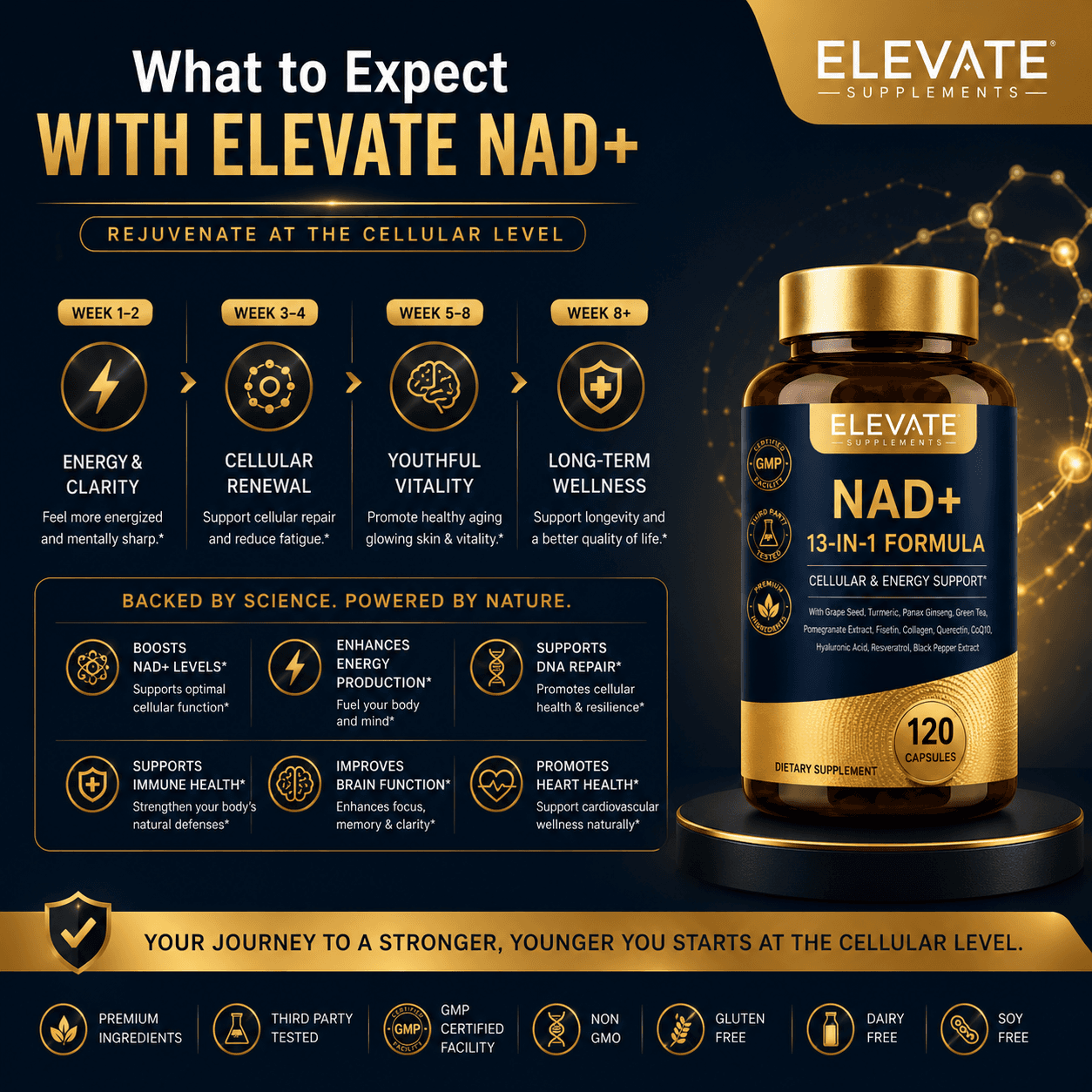 NAD+ 13-IN-1 Supplement 4